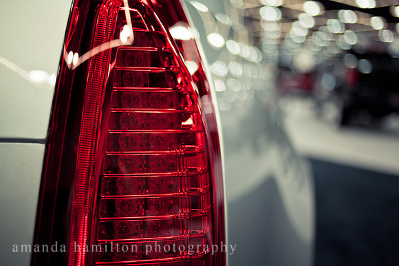 _MG_5606