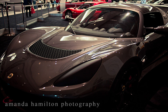 _MG_5645